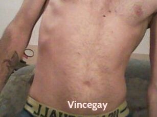 Vincegay