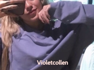 Violetcollen