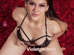 Violetgardenn