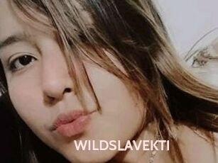 WILDSLAVEKTI