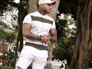 WayneBlack