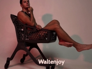 Waltenjoy