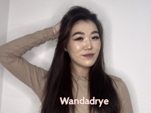 Wandadrye