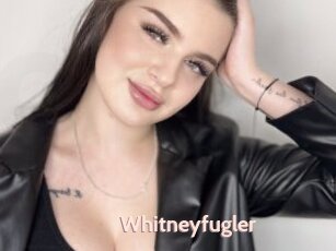 Whitneyfugler