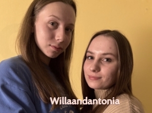 Willaandantonia