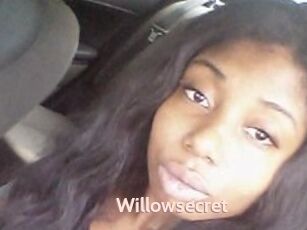 Willow_secret