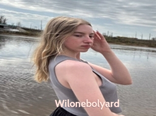 Wilonebolyard