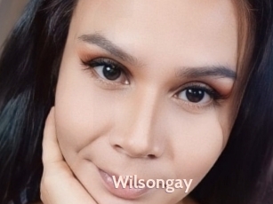 Wilsongay