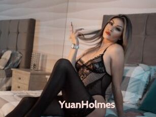 YuanHolmes