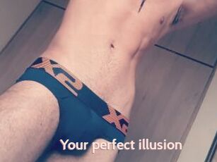 Your_perfect_illusion