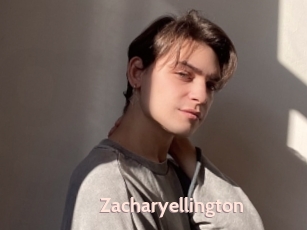 zacharyellington Gekiyasu Fuzoku