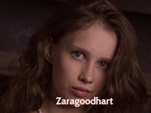 Zaragoodhart