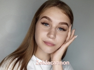 Zeldacannon